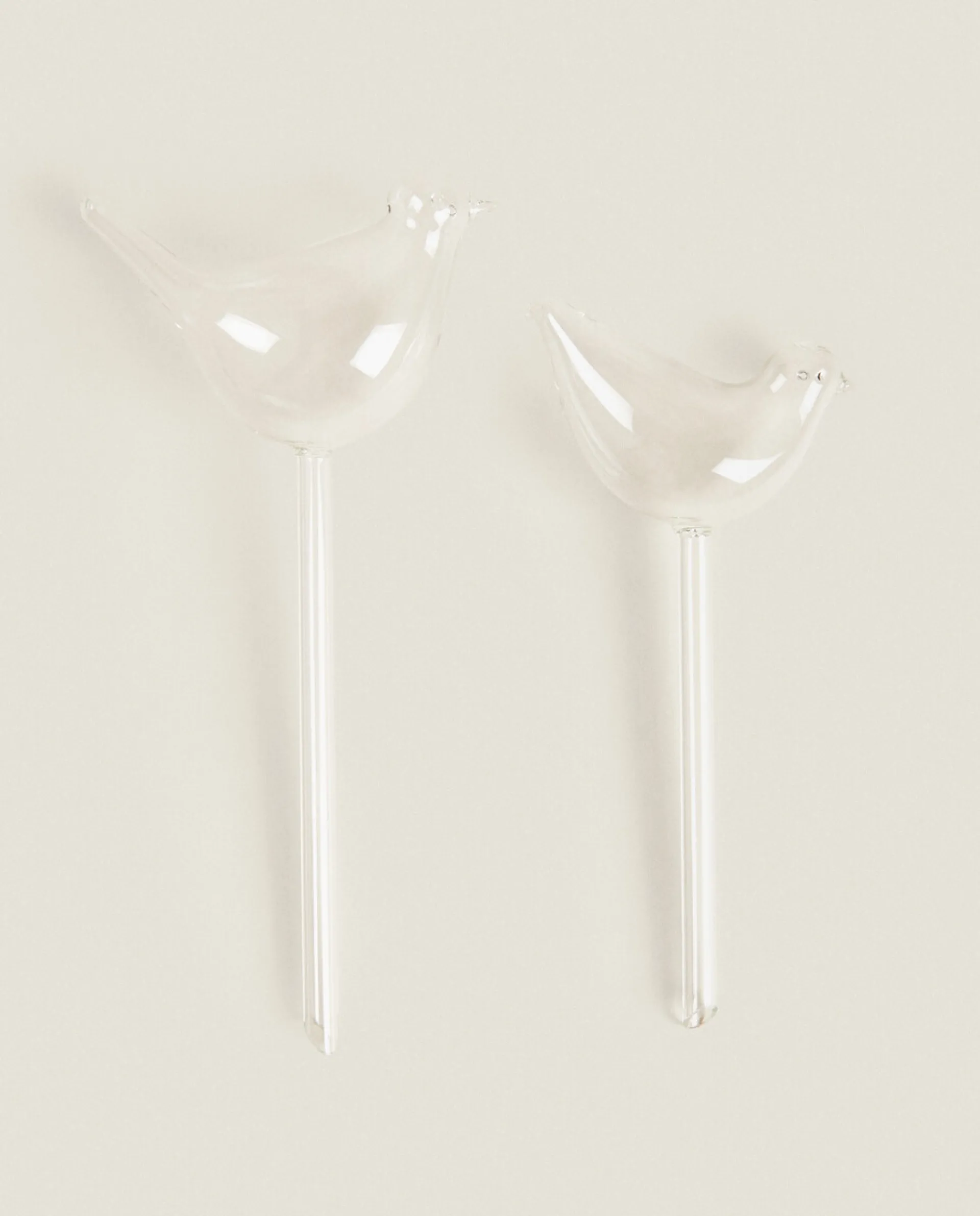 Flowerpots*ZARA Home Borosilicate Glass Self-Watering Bubble Transparent