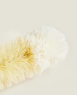 Cleaning*ZARA Home Bottle Brush (Pack Of 3) Natural Colour