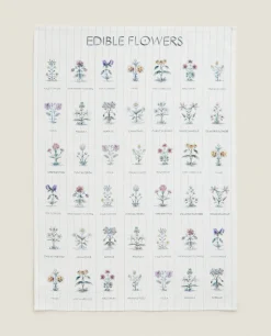 Garden*ZARA Home Check And Floral Print Cotton Tea Towel (Pack Of 2) Blue