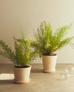 Flowerpots*ZARA Home Clay Flowerpot White