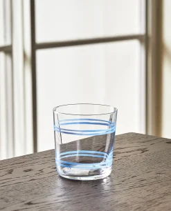 Tumblers*ZARA Home Dragonfly Print Glass Tumbler Blue