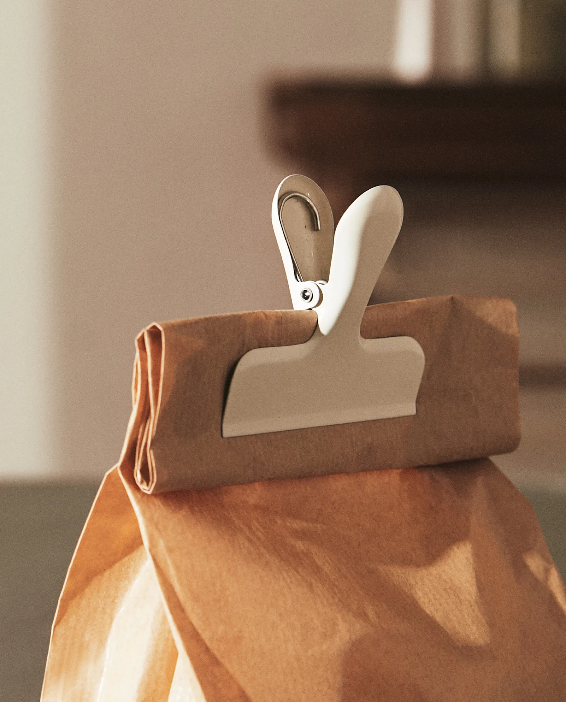 Storage*ZARA Home Metallic Clips (Set Of 3) Cream