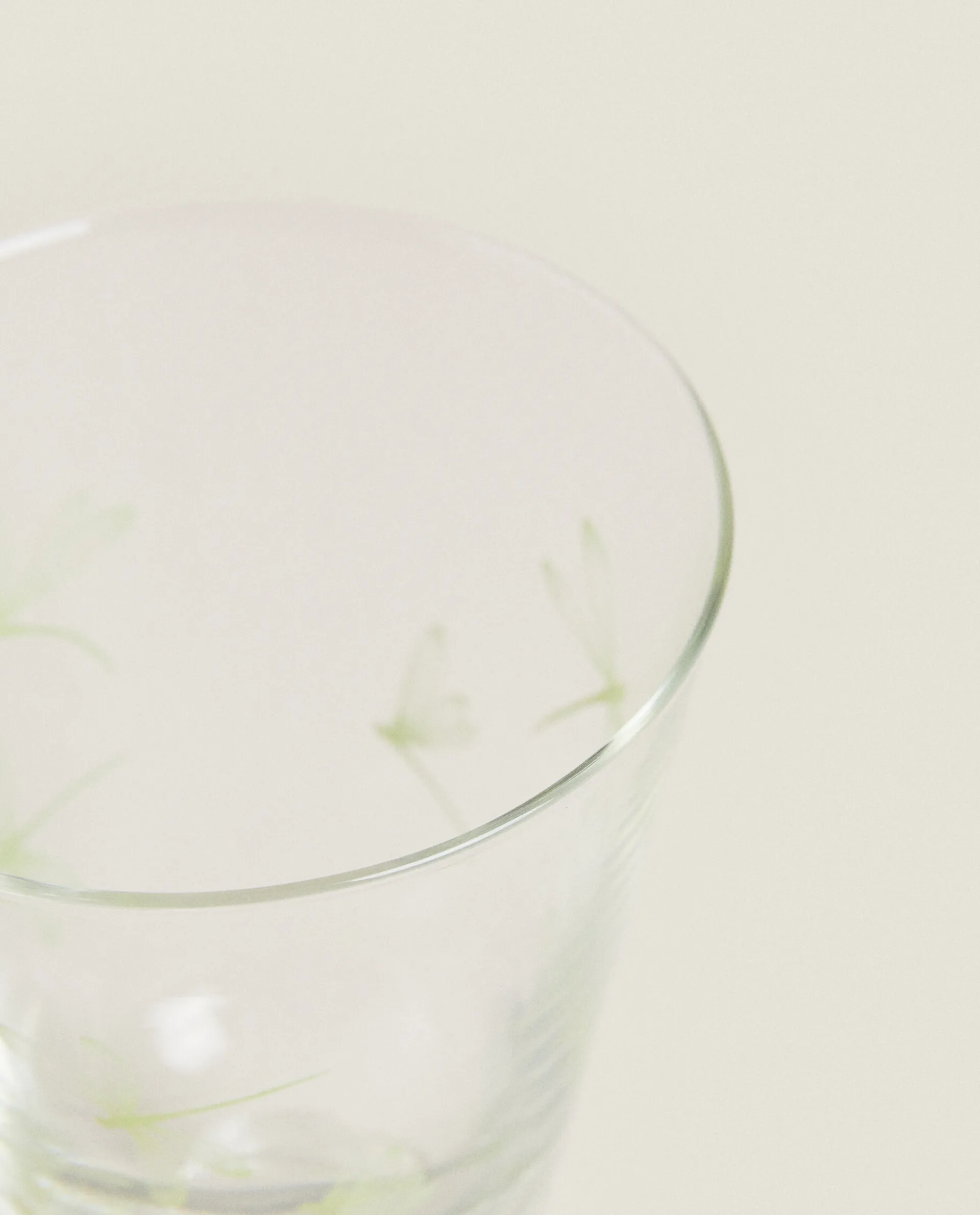 Glasses And Flutes*ZARA Home Silk Screen Wine Glass Green