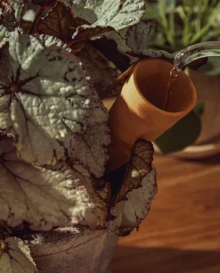 Flowerpots*ZARA Home Terracotta Watering Accessory Orange