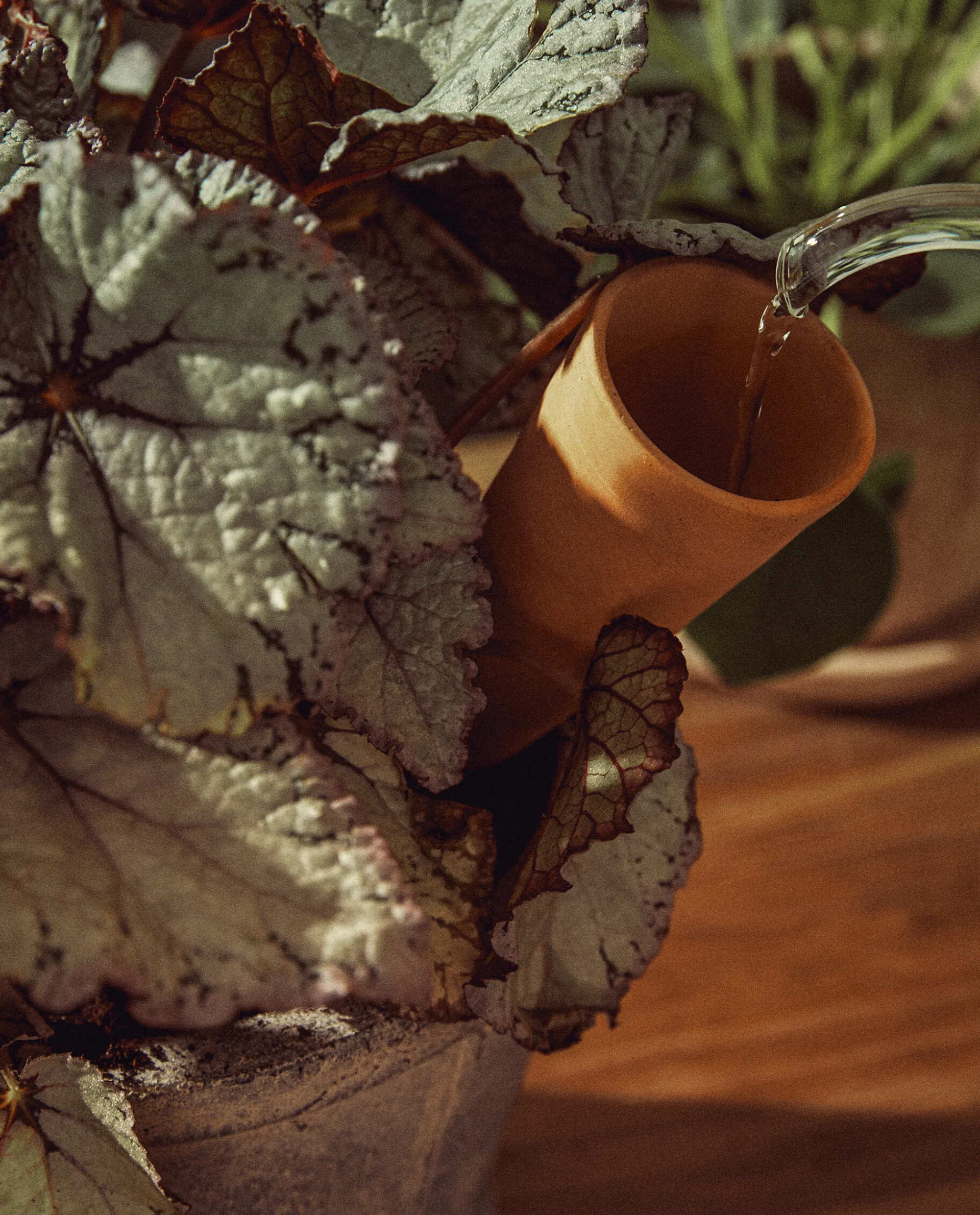 Flowerpots*ZARA Home Terracotta Watering Accessory Orange