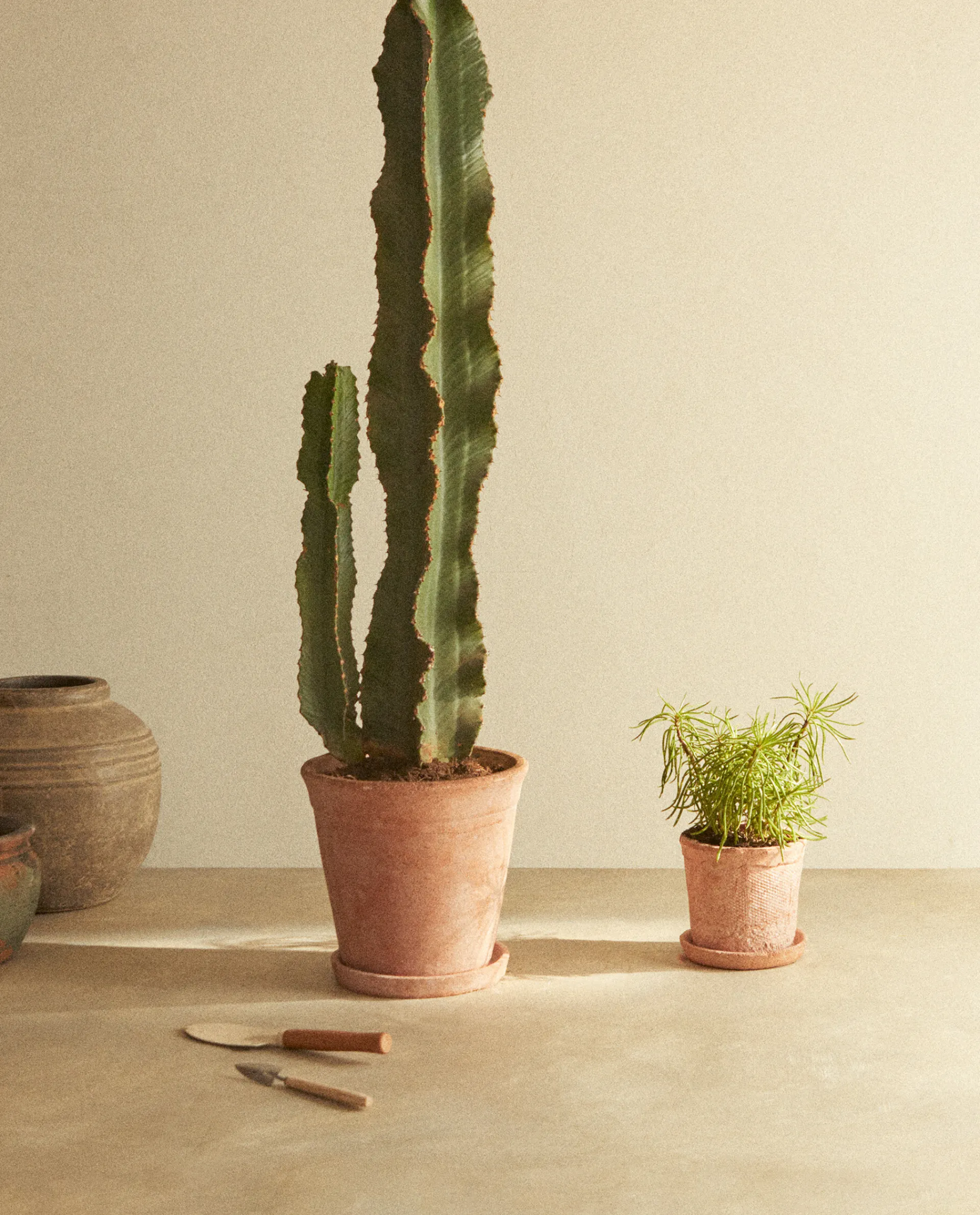 Flowerpots*ZARA Home Vase Terracotta