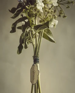 Garden*ZARA Home Wire And Label Set Multicolored